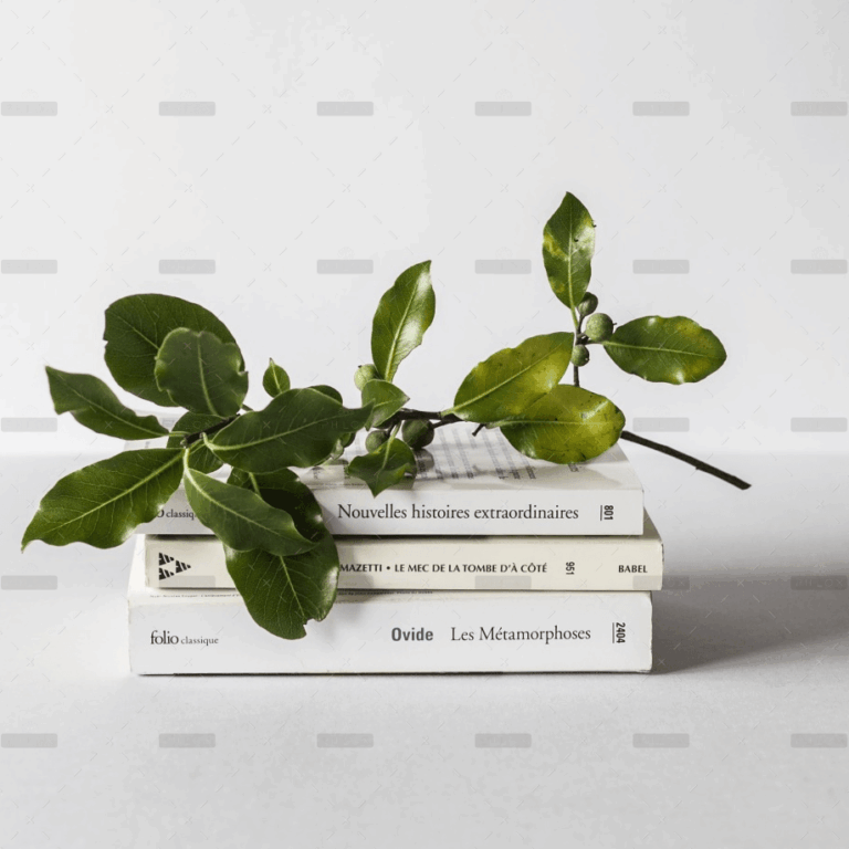 demo-attachment-1930-david-van-dijk-3LTht2nxd34-unsplash