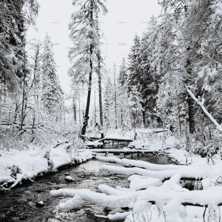 demo-attachment-1932-kristaps-ungurs-zf3gwt5Rod0-unsplash-scaled
